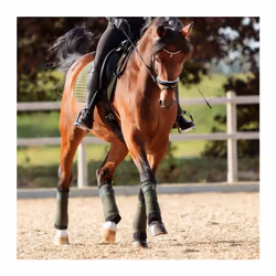 Flanelles pour cheval scratch Kavalkade Klimatex