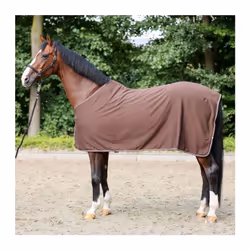 Chemise pour cheval en jersey Kavalkade Elegance