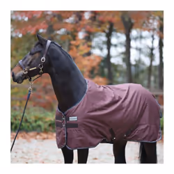Couverture d'extérieur pour cheval Kavalkade Montreal 0g