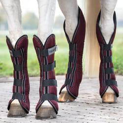 Guêtres de transport pour cheval Kavalkade (x4)