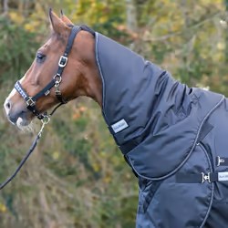 Couvre-cou pour cheval Kavalkade Halifax 50g