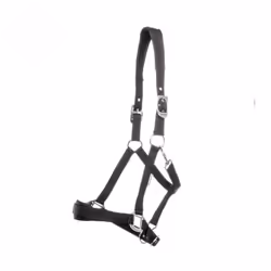 Licol pour cheval Kavalkade Perlon Classic-Simple