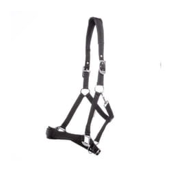 Licol pour cheval Kavalkade Perlon Classic-Simple