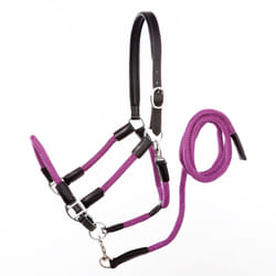 Licol pour cheval en cuir avec corde Kavalkade Cavo