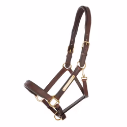 Licol pour cheval Kavalkade Cinta