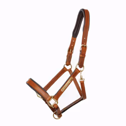 Licol pour cheval Kavalkade Cinta