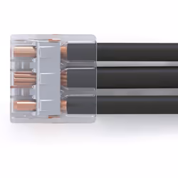 Borne à levier WAGO pour tous types de conducteur - 3 x 6 mm² - 30 pièces - 221-613