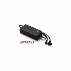 Chargeur de batterie Yamaha 36 DU 2015