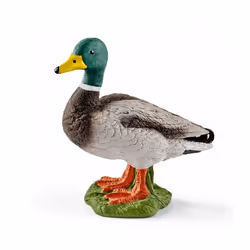 schleich FARM WORLD Canard, 3 an(s), Multicolore, Plastique
