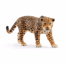 schleich WILD LIFE Jaguar, 3 an(s), Afrique, Multicolore, Plastique