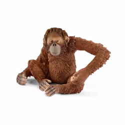 schleich WILD LIFE Orang-Outan, Femelle, 3 an(s), Afrique, Multicolore, Plastique