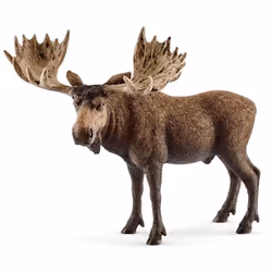 schleich WILD LIFE Élan, mâle, 3 an(s), Multicolore, Plastique, 1 pièce(s)