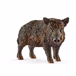 schleich WILD LIFE Sanglier, 3 an(s), Multicolore, Plastique, 1 pièce(s)