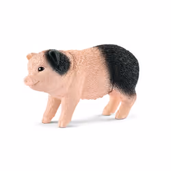 schleich Cochon nain femelle et cochonnets