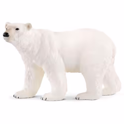 schleich WILD LIFE Ours polaire, 3 an(s), Multicolore, Plastique