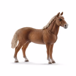 schleich Farm Life Étalon Morgan
