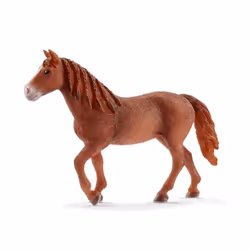schleich Farm Life Jument Morgan