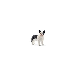 schleich FARM WORLD Bouledogue français