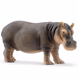 schleich WILD LIFE Hippopotame, 3 an(s), Multicolore, Plastique, 1 pièce(s)