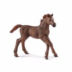 schleich WILD LIFE Poulain Pur-sang anglais, Multicolore, 1 pièce(s)