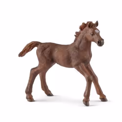 schleich WILD LIFE Poulain Pur-sang anglais