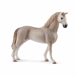 schleich HORSE CLUB Hongre Holstein, 5 an(s), Multicolore, Plastique, 1 pièce(s)