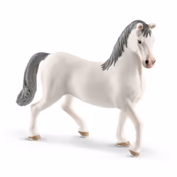 schleich HORSE CLUB Etalon Lipizzan, 5 an(s), Multicolore, Plastique, 1 pièce(s)