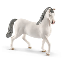 schleich HORSE CLUB Etalon Lipizzan
