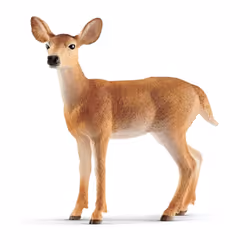 schleich WILD LIFE Biche de Virginie, 3 an(s), Multicolore, Plastique, 1 pièce(s)