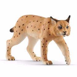 schleich WILD LIFE Lynx, 3 an(s), Multicolore, Plastique