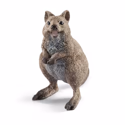 schleich WILD LIFE Quokka