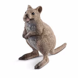 schleich WILD LIFE Quokka