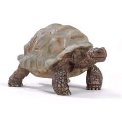 schleich WILD LIFE Tortue géante, 3 an(s), Multicolore, Plastique, 1 pièce(s)