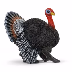 schleich Farm World Dindon, 3 an(s), Multicolore, Plastique