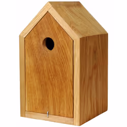 Dobar 46760e, A accrocher/à poser, Bois, Bois, 3,2 cm, Europe, 160 mm