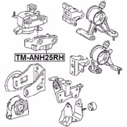 FEBEST TM-ANH25RH non classé