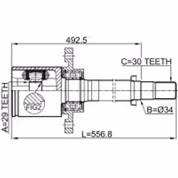 FEBEST 0211-T31ATRH non classé