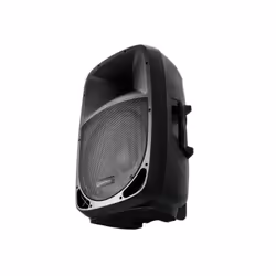 Omnitronic 11038770 haut-parleur 2-voies Noir Avec fil 90 W