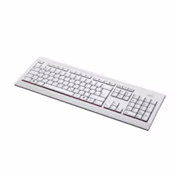 Fujitsu KB521, Taille réelle (100 %), Avec fil, USB, Gris