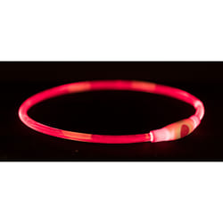 TRIXIE 12663 collier pour chiens et chats Plastique L-XL Chien