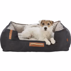 TRIXIE 36592 coussin pour chiens et chats Lit rafraîchissant pour animaux de compagnie