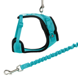 TRIXIE 41890 laisse pour chiens et chats Chat