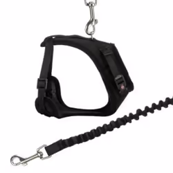 TRIXIE 41890 laisse pour chiens et chats Chat