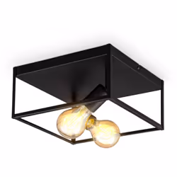B.K.Licht plafonnier cage métal noir, pour 2 ampoules E27 de max 60W, ampoules non incluses, éclairage plafond vintage entrée ...