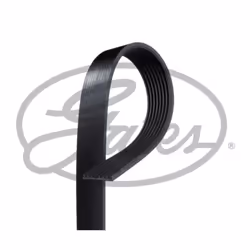 Courroie trapézoïdale à nervures GATES 8PK1183AHD