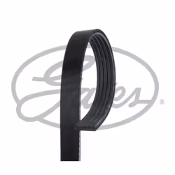 Courroie trapézoïdale à nervures GATES 5PK1240HD