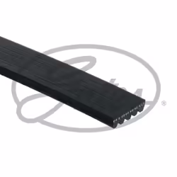 Courroie trapézoïdale à nervures GATES 5PK1240HD