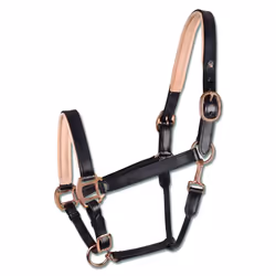 Licol pour cheval en cuir rosé Waldhausen X-Line