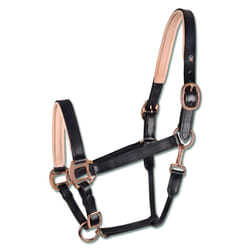 Licol pour cheval en cuir rosé Waldhausen X-Line