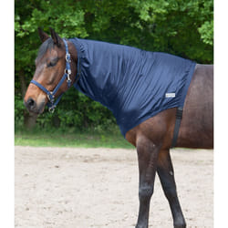Couvre-cou pour cheval anti-eczéma Waldhausen